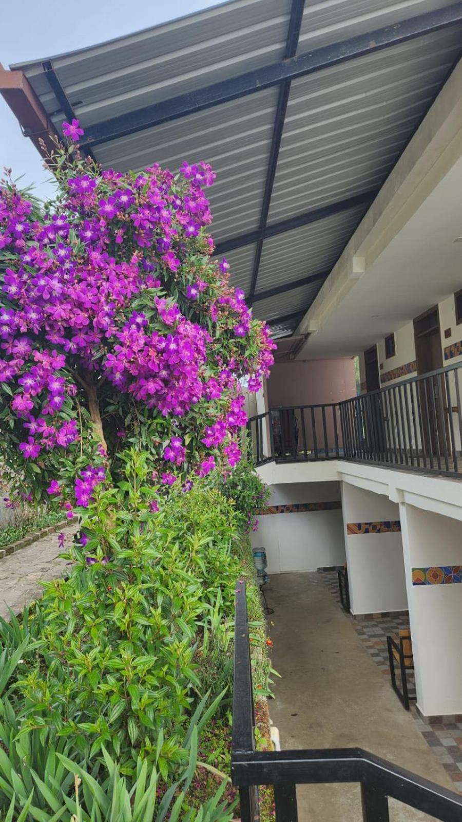 Fabhotel Tranquil Heights كوديكانال المظهر الخارجي الصورة